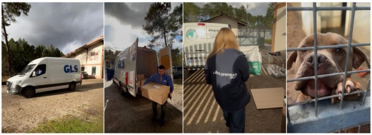 GLS and Ultra Premium Direct solidarity tour at SPA 47: pet food delivery, volunteers in action, and dogs waiting for adoption.