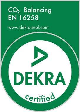 child with light bulb